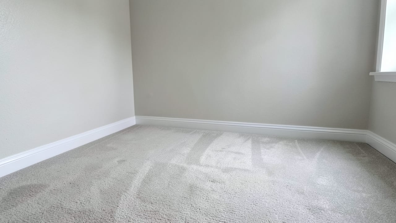 Carpet Mold Treatment in Quincy, MA in Quincy