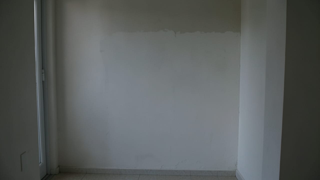 Drywall Mold Remediation in Quincy, MA in Quincy