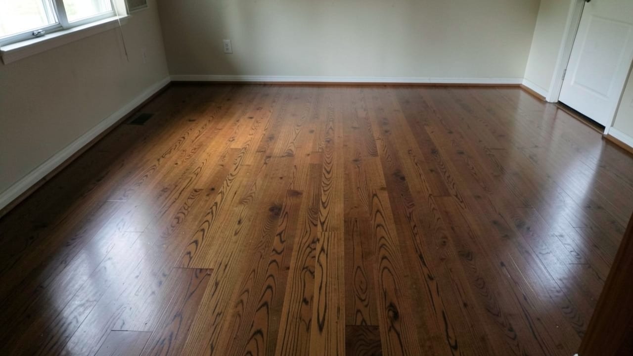 Flood Damage Mold Remediation in Quincy, MA in Quincy