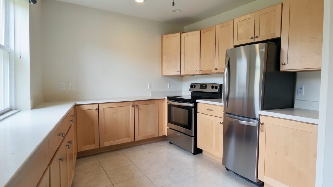 Kitchen Mold Cleanup in Quincy, MA in Quincy