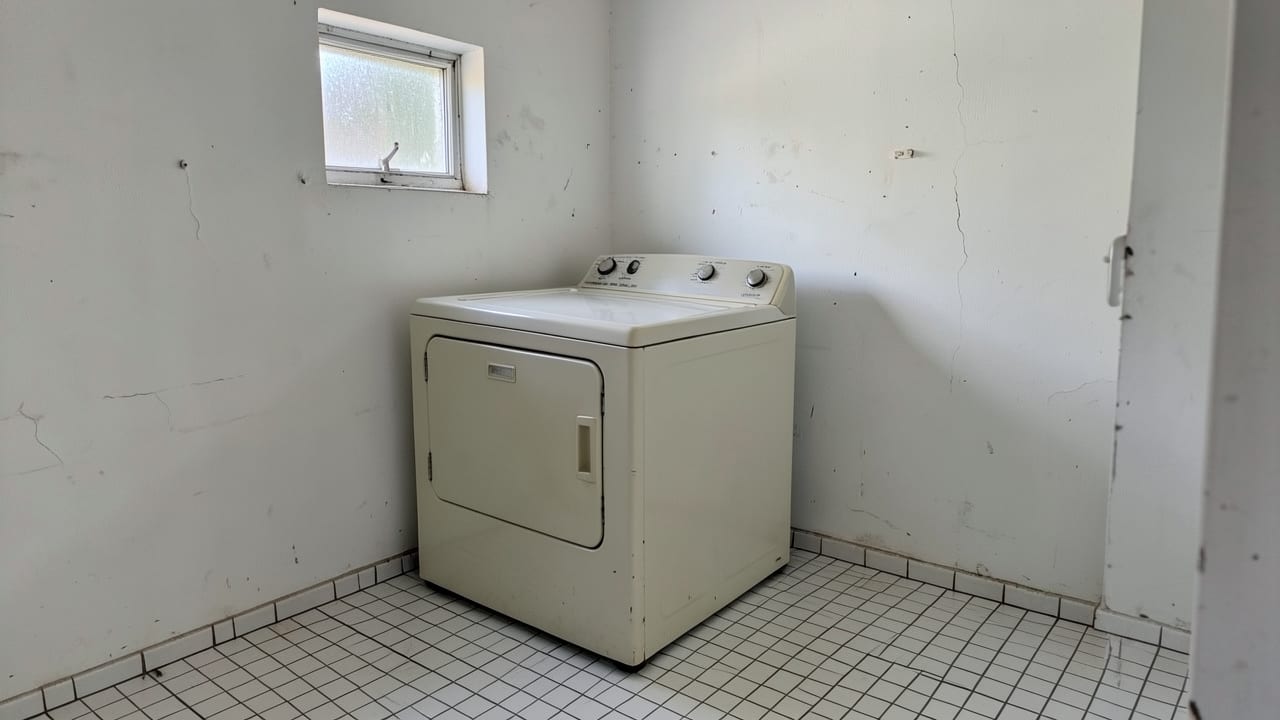Laundry Room Mold Cleanup in Quincy, MA in Quincy