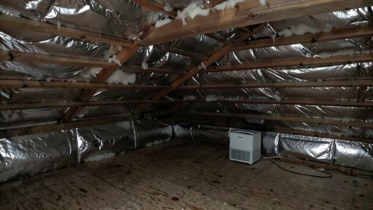 Pre-Winter Mold Prevention in Quincy, MA in Quincy