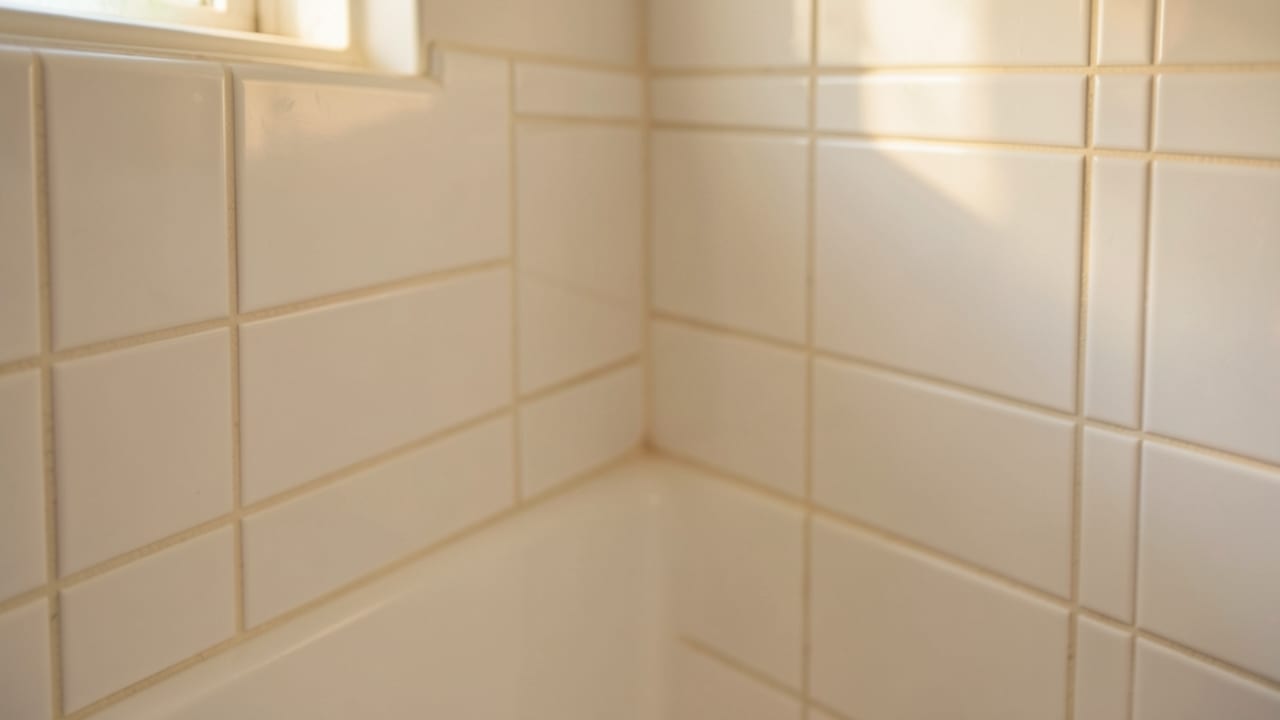 Bathroom Mold Removal in Rancho Santa Fe, CA in Rancho Santa Fe