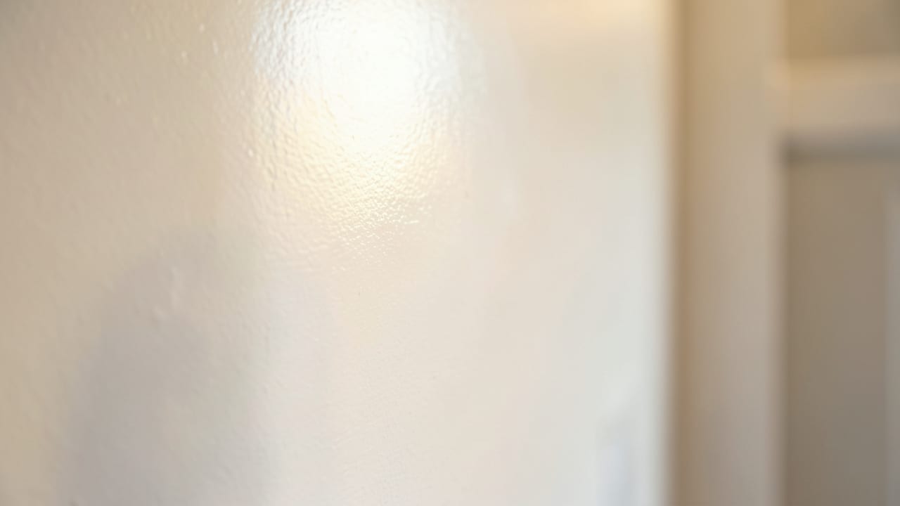 Pipe Leak Mold Removal in Rancho Santa Fe, CA in Rancho Santa Fe