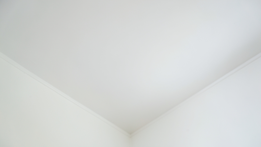 Can Black Mold Cause Permanent Lung Damage? Expert Insights for Redington Shores