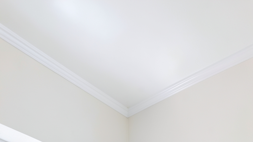 Mold in New Construction: Why It Happens and Removal Costs in Redington Shores