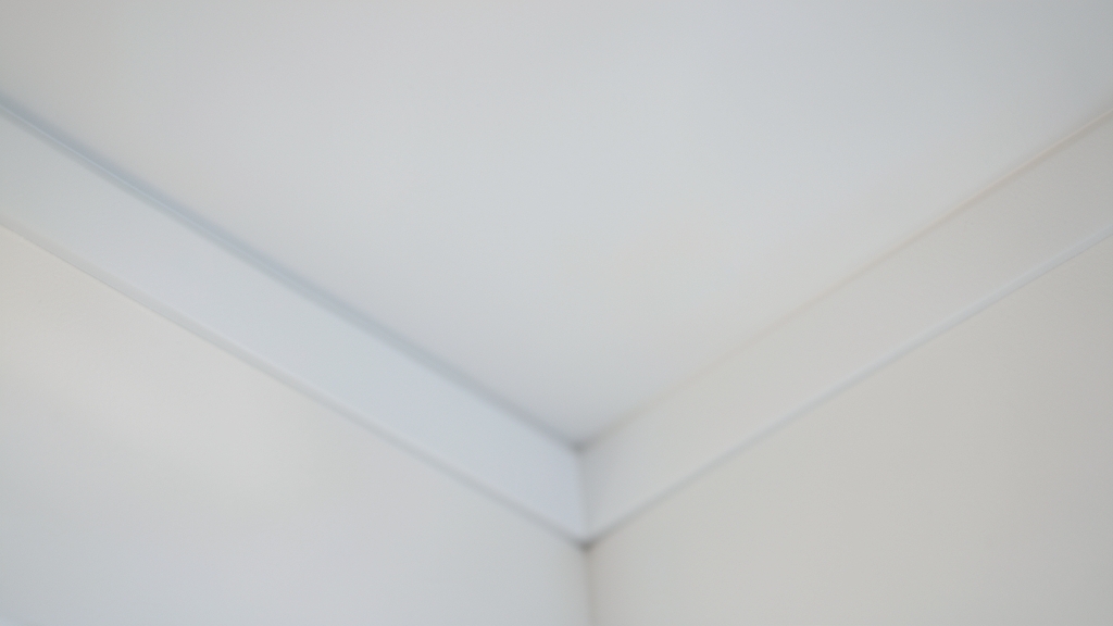 Preventing Mold in Florida’s Humidity in Redington Shores