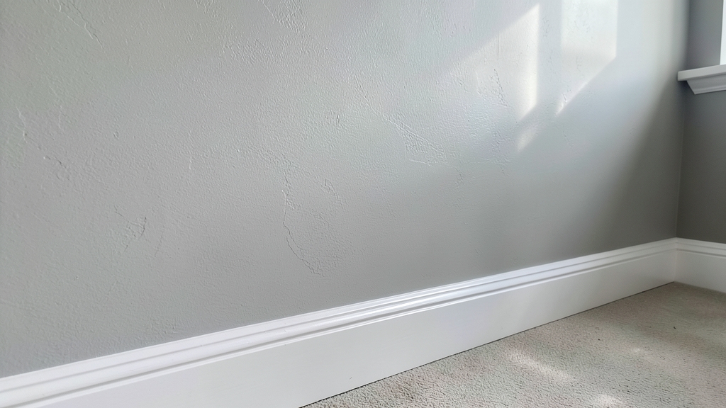 Why Mold Remediation Matters for Redington Shores Homes