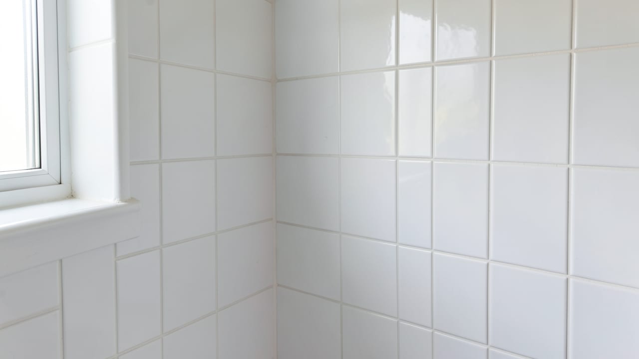 Bathroom Mold Removal in Redington Shores, FL in Redington Shores