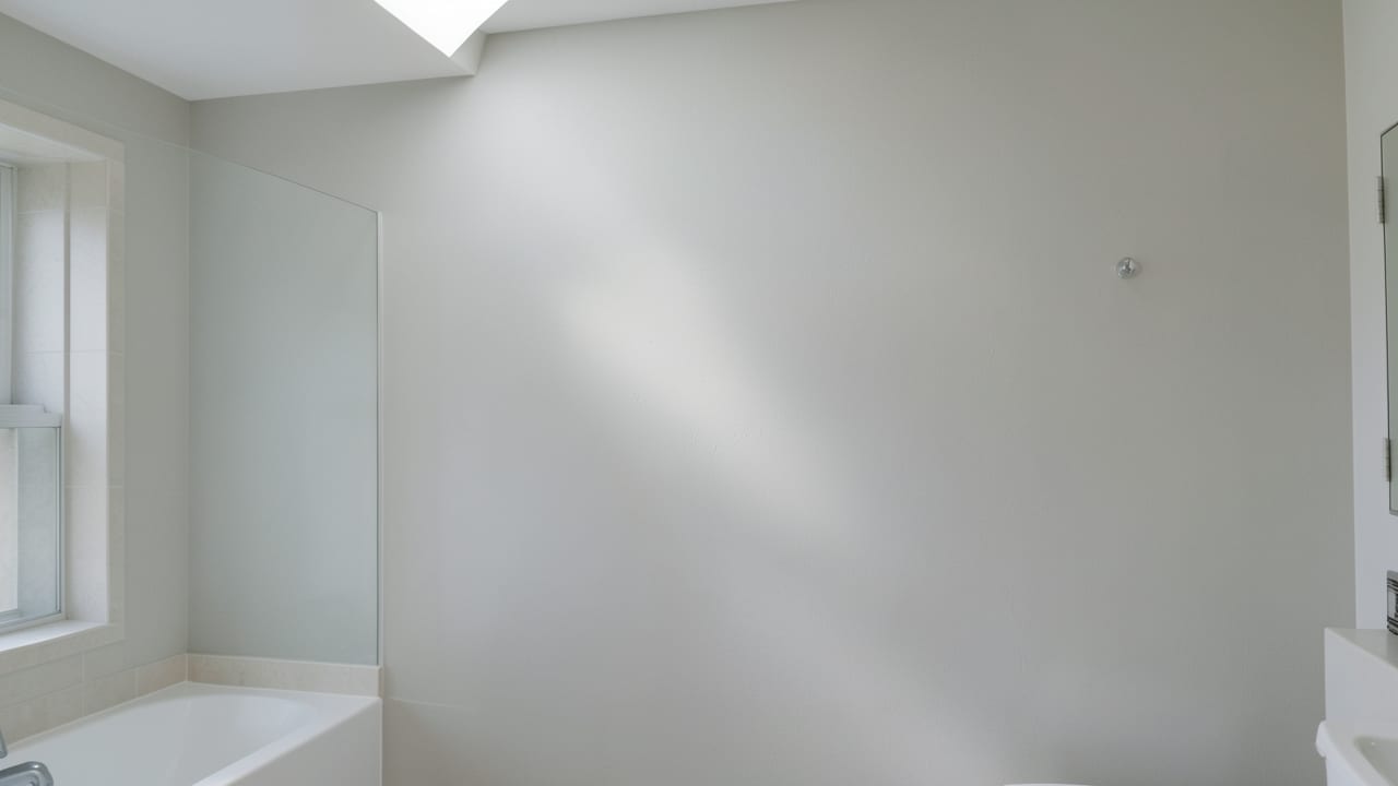 Pipe Leak Mold Removal in Redington Shores, FL in Redington Shores