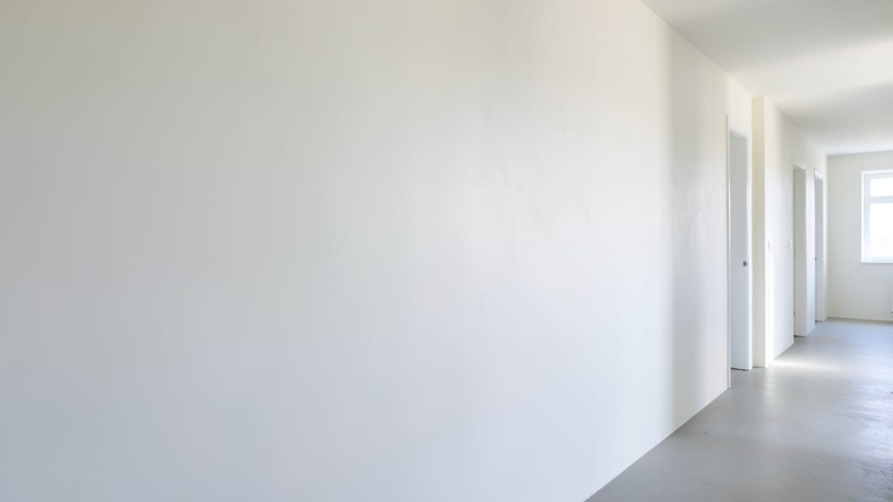 Plaster Mold Remediation in Redington Shores, FL in Redington Shores