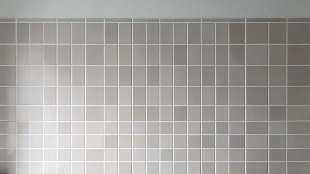 Tile & Grout Mold Cleanup in Redington Shores, FL in Redington Shores