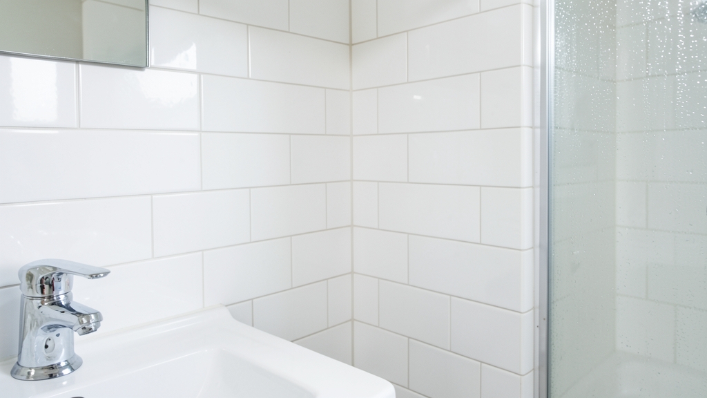 The Best Antimicrobial Solutions for Mold Treatment in Rehoboth