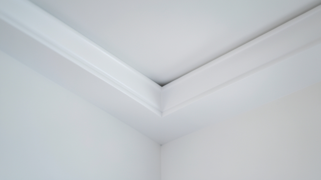 The Hidden Health Risks of Untreated Mold in Rehoboth Homes