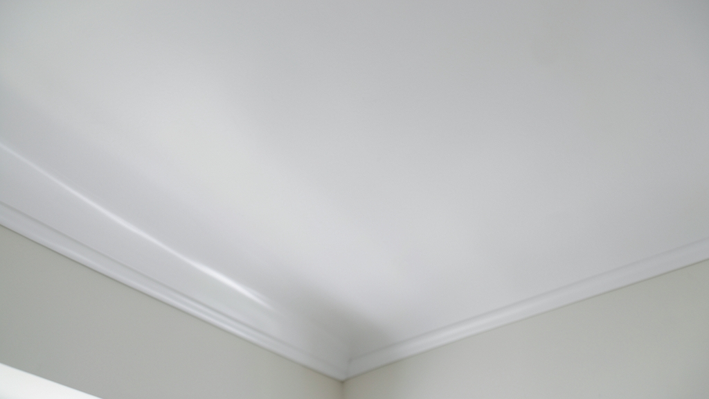 How Mold Remediation Protects Your Home’s Value in Rehoboth