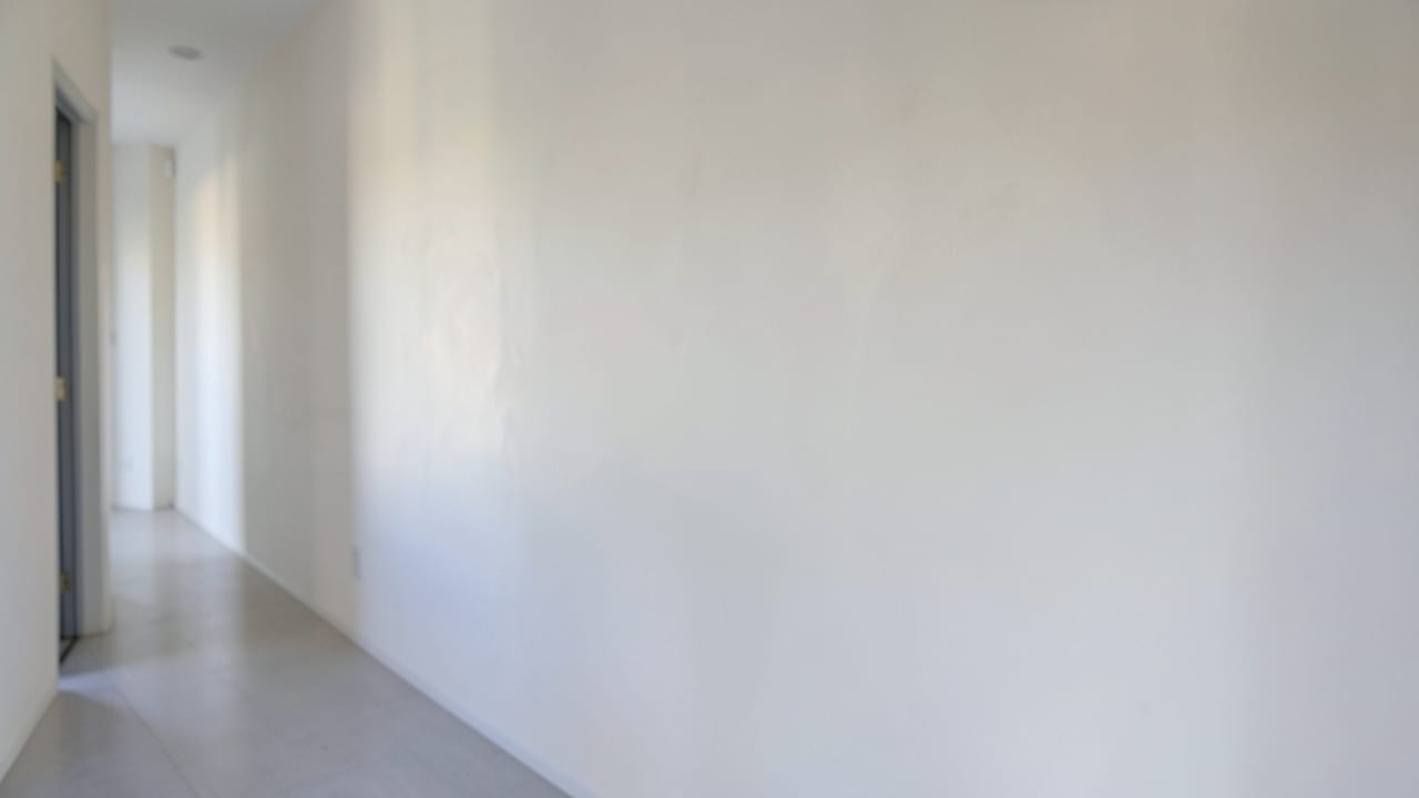Plaster Mold Remediation in Rehoboth, MA in Rehoboth