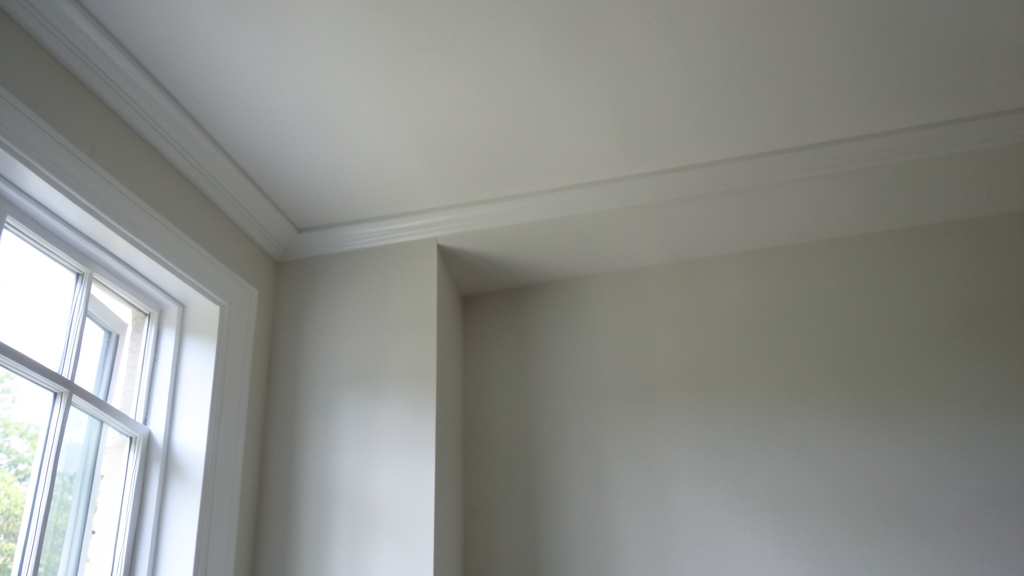 Commercial Mold Remediation in Riegelsville: Ensuring EPA and OSHA Compliance for Businesses