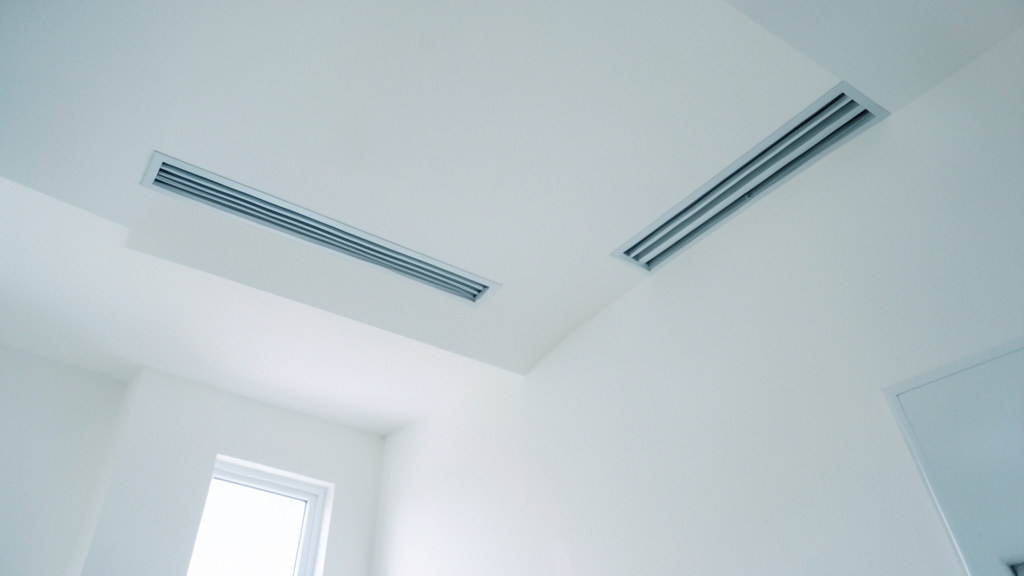 How to Waterproof Your Basement Walls to Stop Mold in Riegelsville