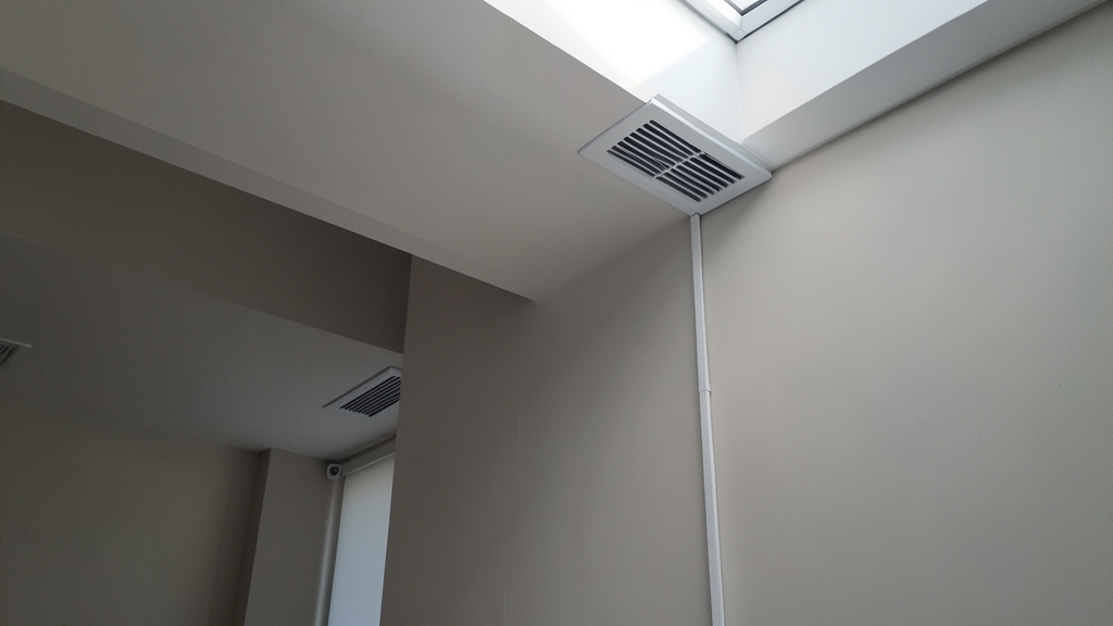 Is Black Mold in Your Riegelsville Home Making You Sick?