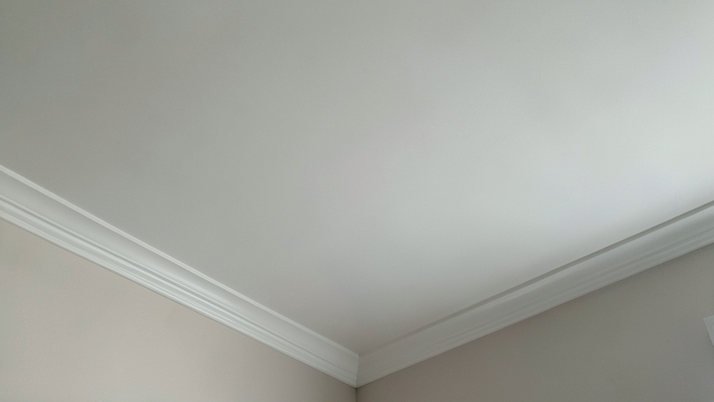 Level 1 vs. Level 3 Mold Contamination in Riegelsville