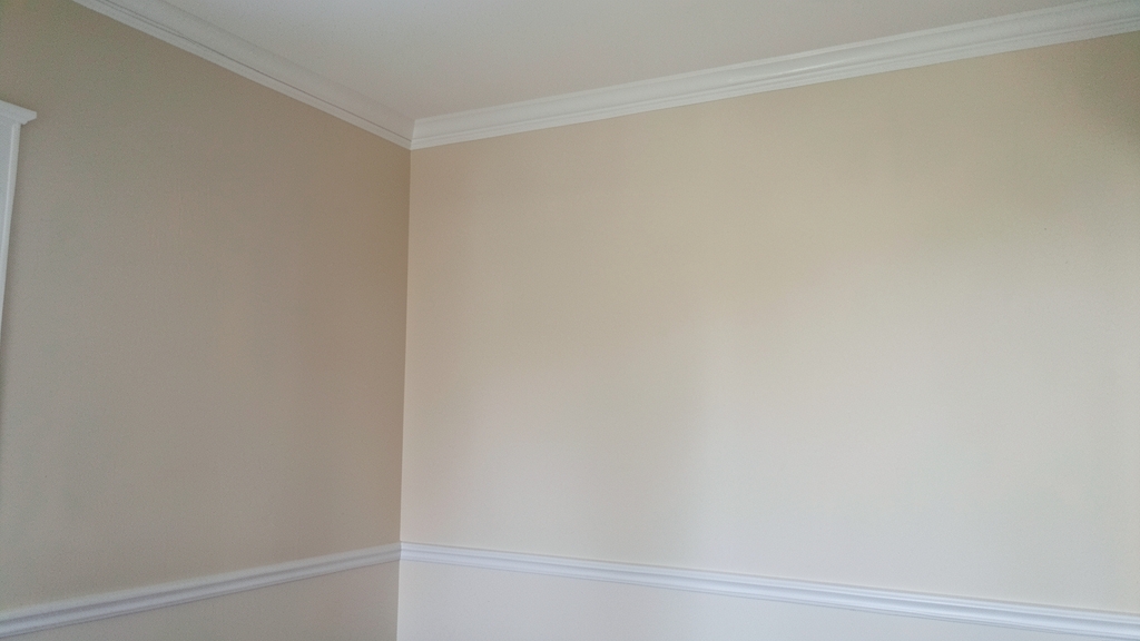 Mold Inspection Myths Debunked for Riegelsville Homeowners