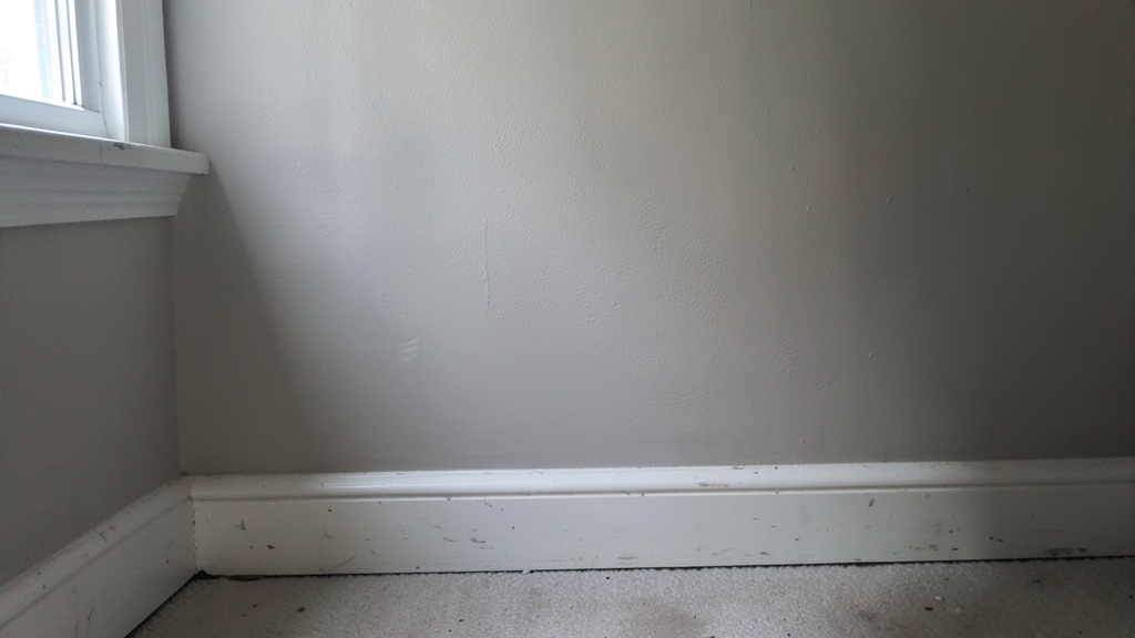 Understanding Mold Remediation Costs in Riegelsville, PA