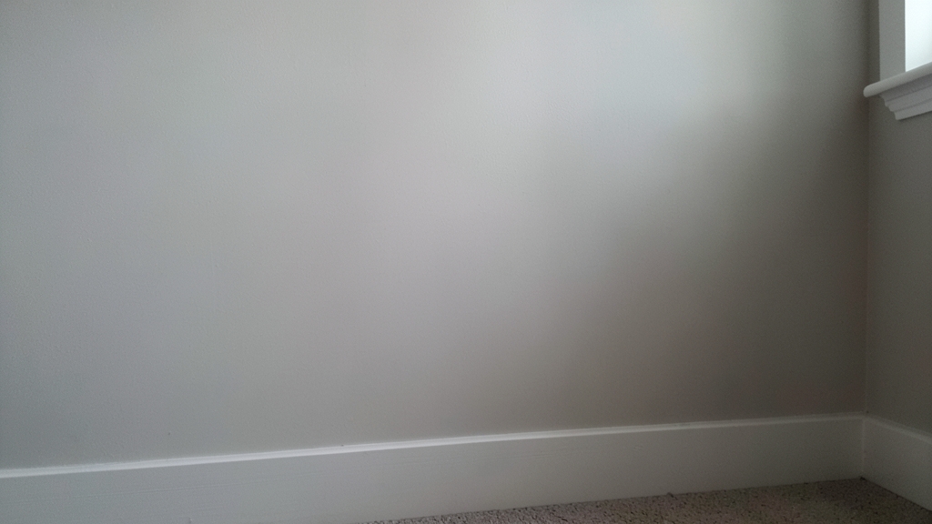 OSHA Guidelines for Worker Safety During Mold Remediation in Riegelsville