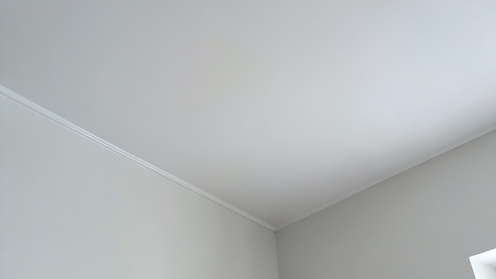 Pennsylvania Mold Disclosure Laws Explained in Riegelsville