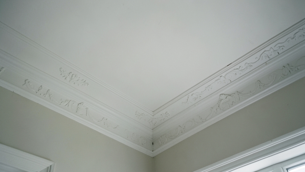 Water Damage and Mold: Understanding Combined Repair Costs in Riegelsville
