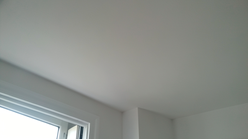How Water Damage Leads to Mold Growth in Riegelsville Homes