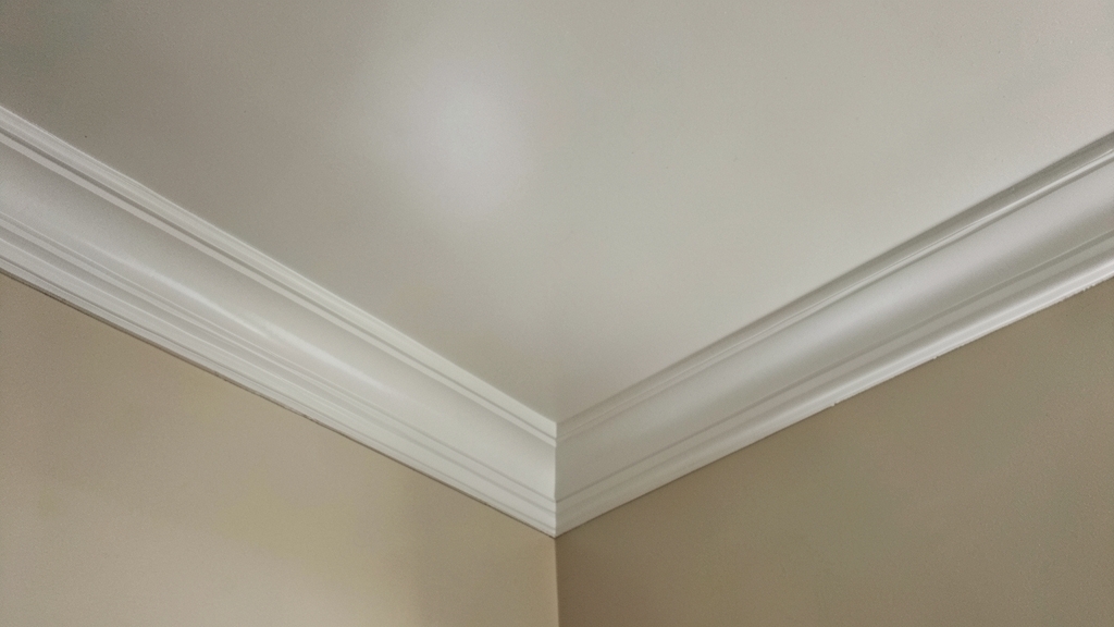 What to Expect During a Professional Mold Remediation in Riegelsville