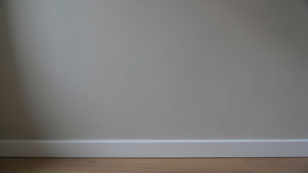 Why DIY Mold Removal in Riegelsville Fails—and How to Fix It Right