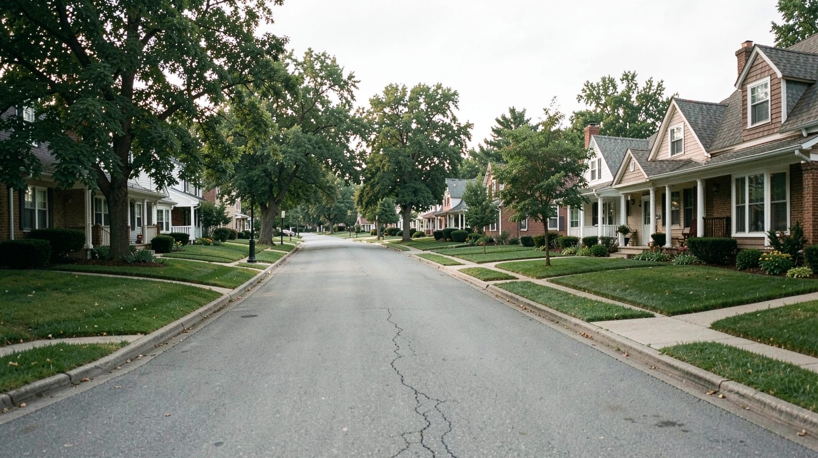 Mold Remediation in Springtown, PA