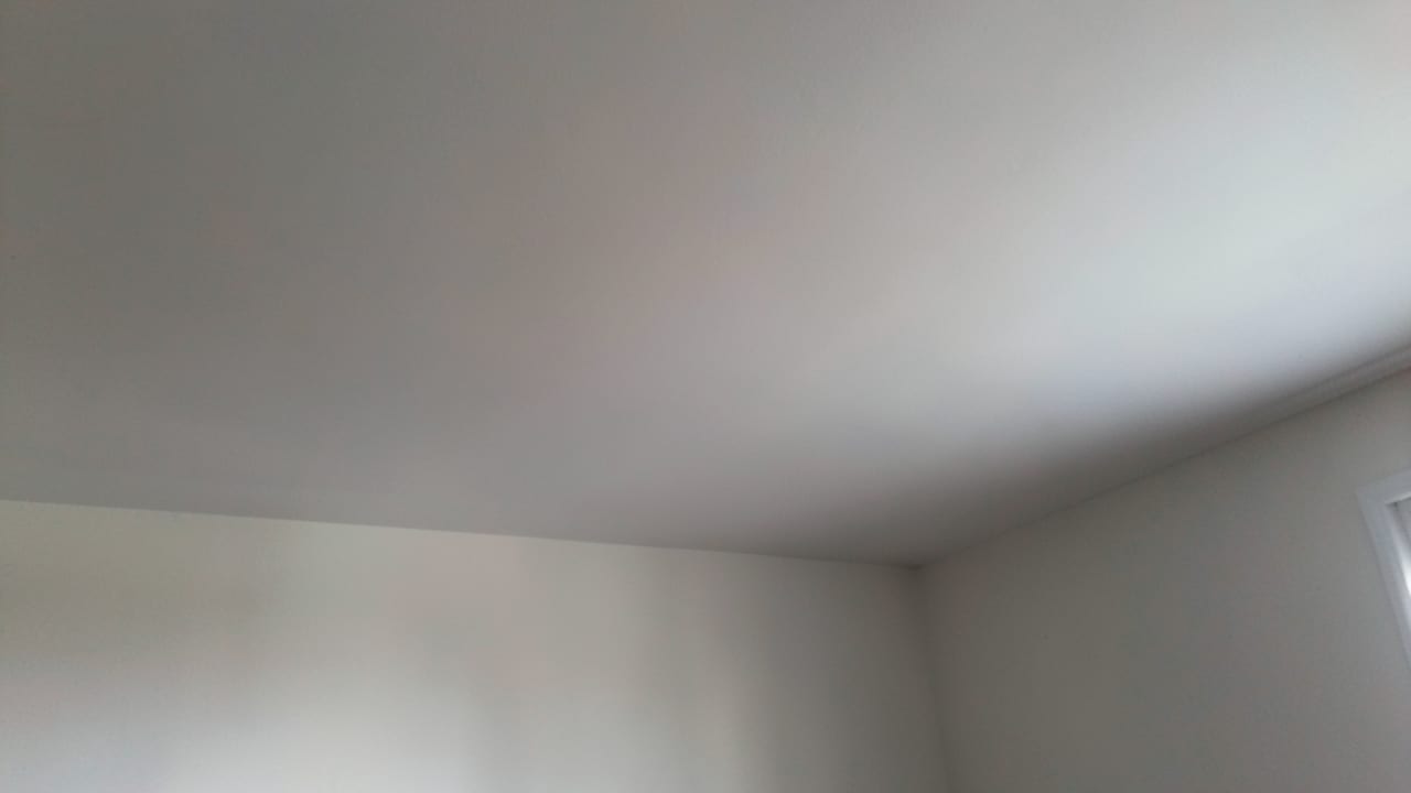 Ceiling Mold Removal in Riegelsville, PA in Riegelsville