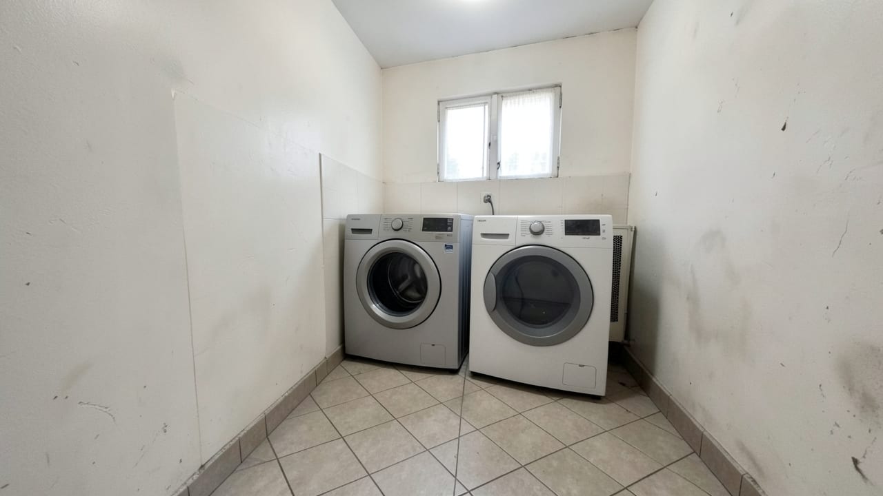 Laundry Room Mold Cleanup in Riegelsville, PA in Riegelsville