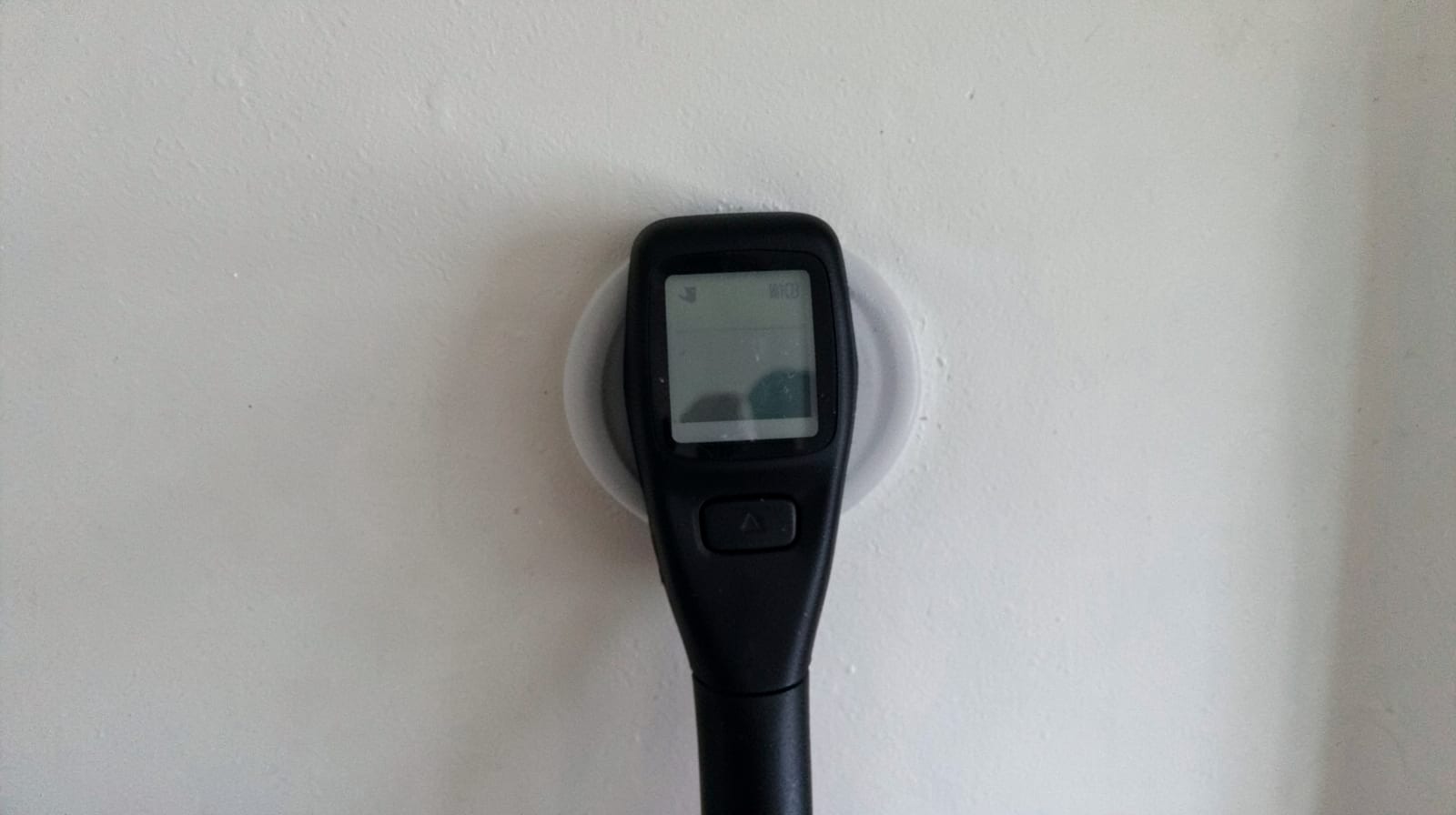 Mold Inspection in Riegelsville, PA in Riegelsville