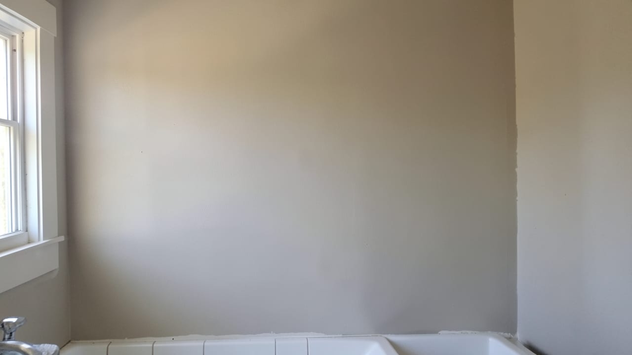 Pipe Leak Mold Removal in Riegelsville, PA in Riegelsville
