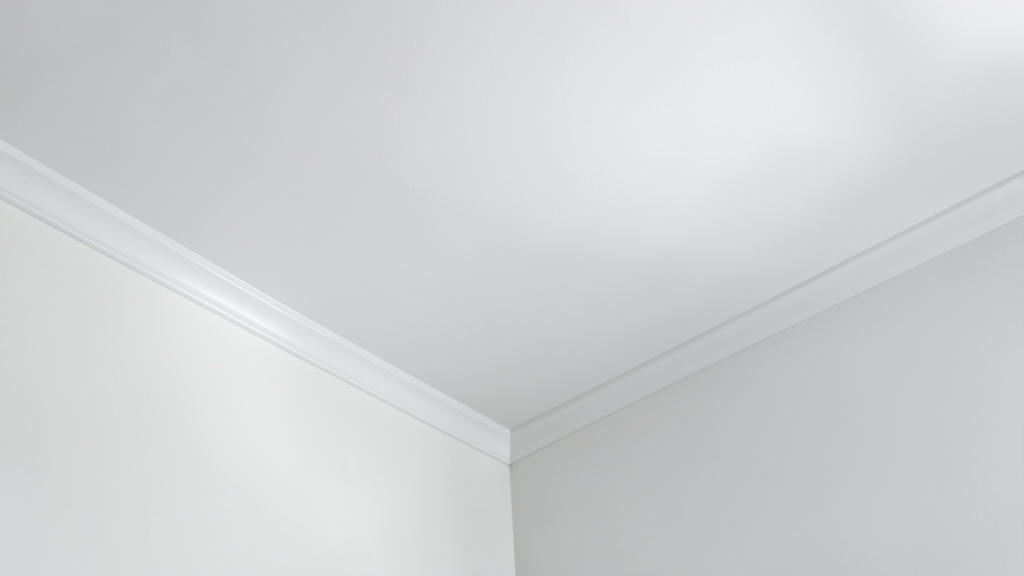 How Rockledge’s Humidity Fuels Mold Growth and What You Can Do About It