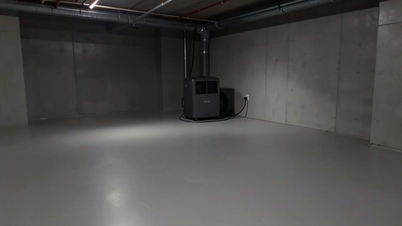 Concrete Mold Remediation in Rockledge, FL in Rockledge