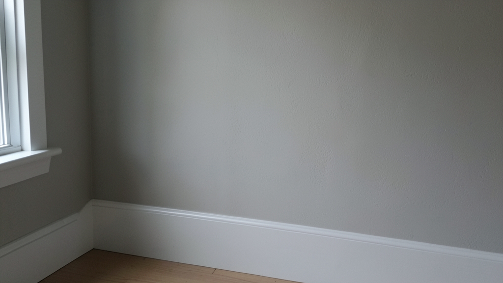 Emergency Mold Remediation: When to Act Fast in Rocky Valley