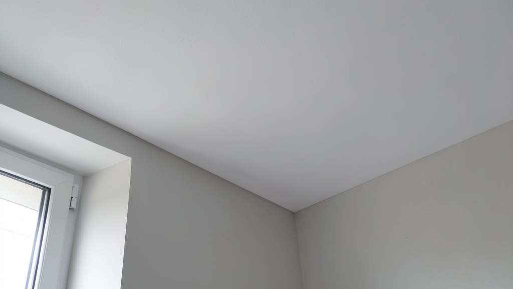 The Truth About Hidden Mold: Inspection Methods for Rocky Valley Homes