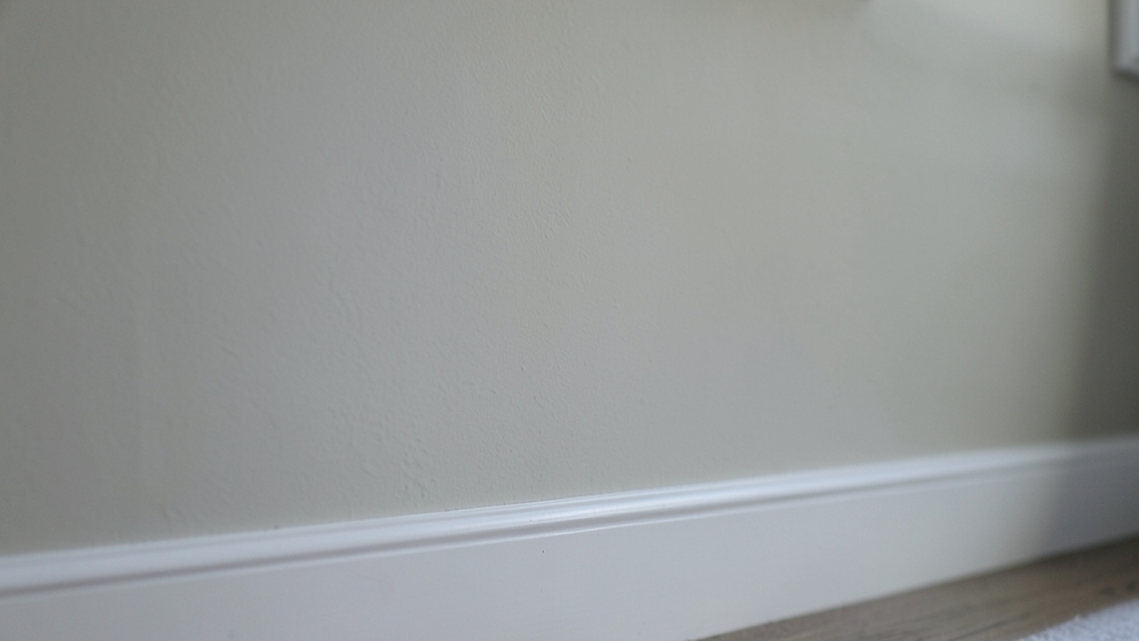 A Homeowner’s Guide to Mold Inspection in Rocky Valley