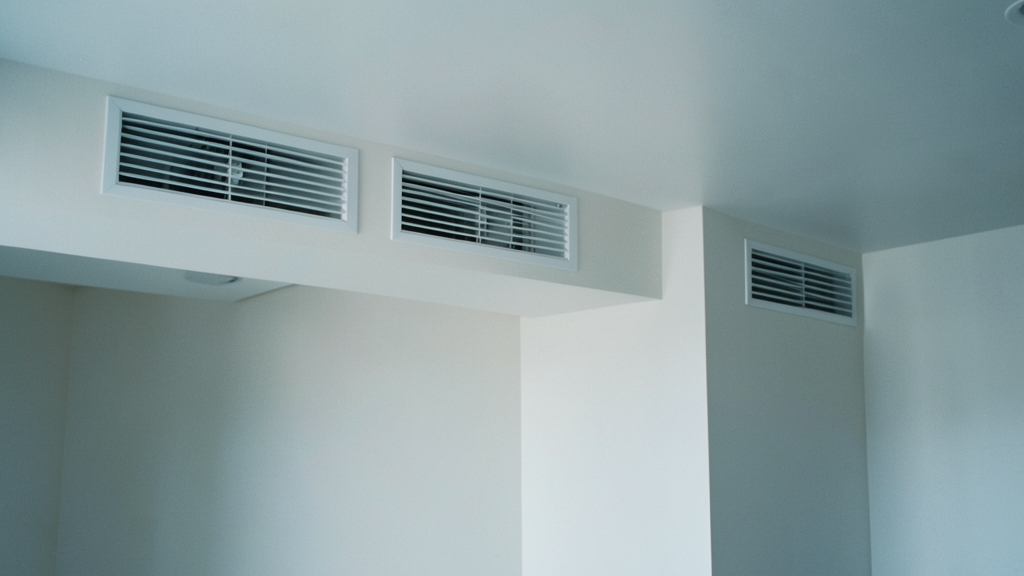 How Mold Professionals Use Thermal Cameras for Detection in Rocky Valley
