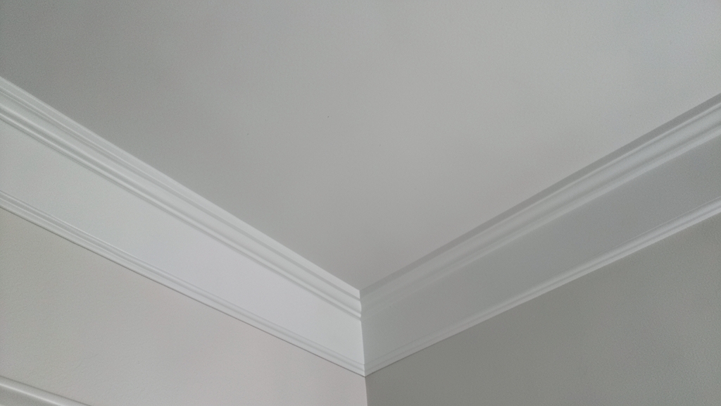 The Long-Term Benefits of Professional Mold Remediation in Rocky Valley