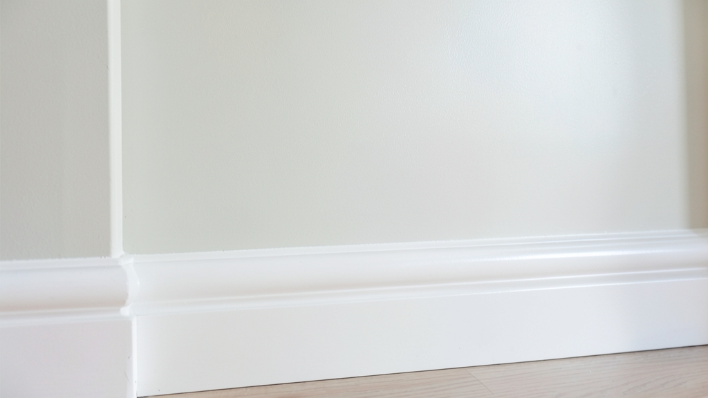 Mold vs. Mildew in Bathrooms: How to Tell the Difference in Rocky Valley