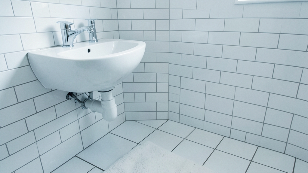 Mold vs. Mildew Cleanup: A Safe and Effective Guide for Rocky Valley Homeowners