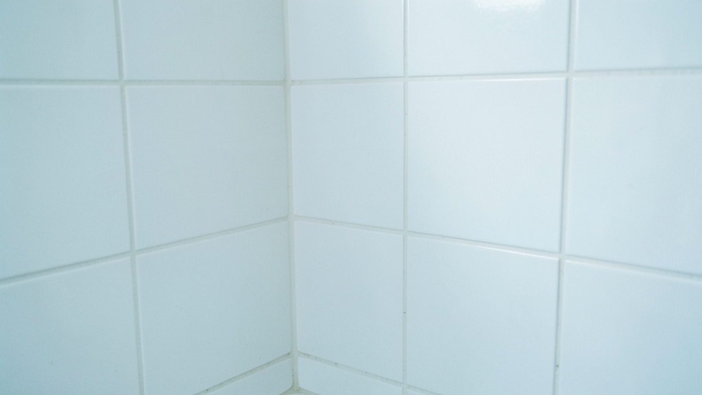 The Hidden Risks of DIY Mold Removal in Rocky Valley Commercial Buildings