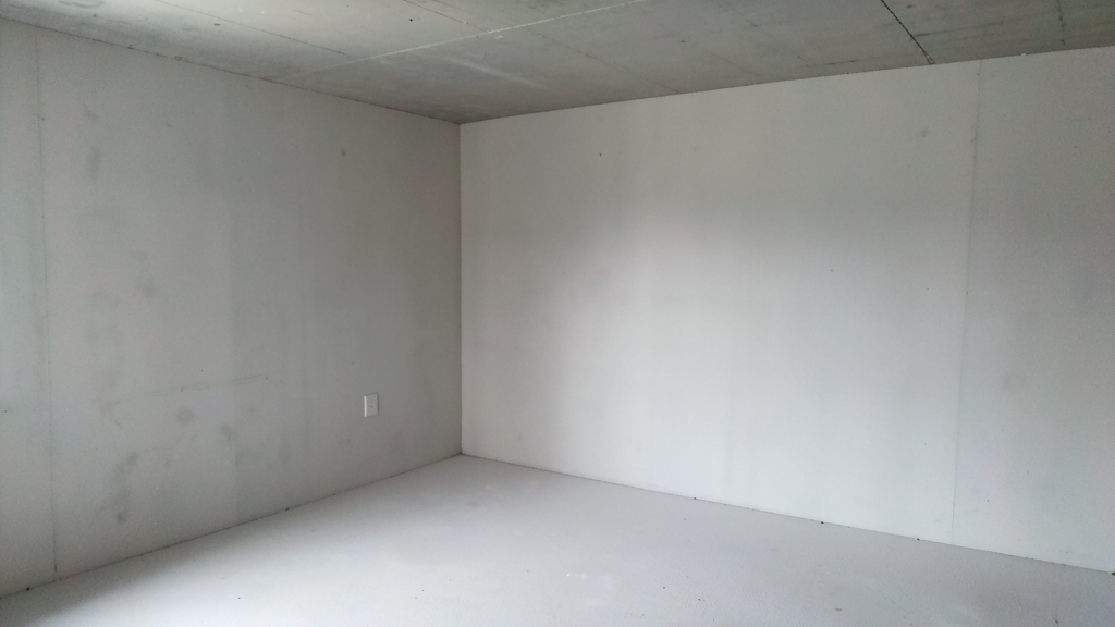 Understanding the True Cost of Black Mold Remediation in Rocky Valley