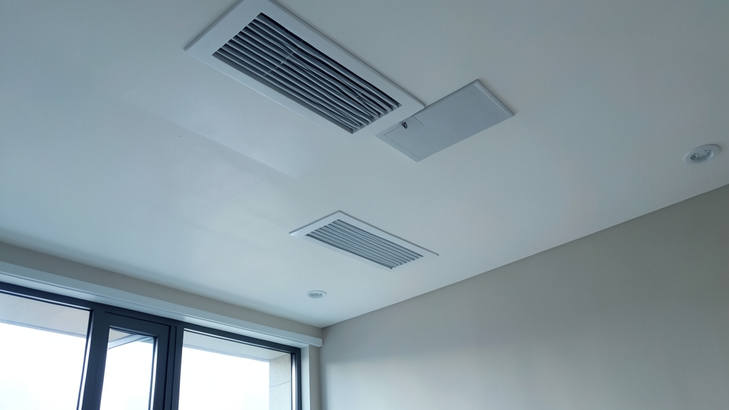 Why Professional Mold Remediation Is the Safer Choice for Rocky Valley Homes