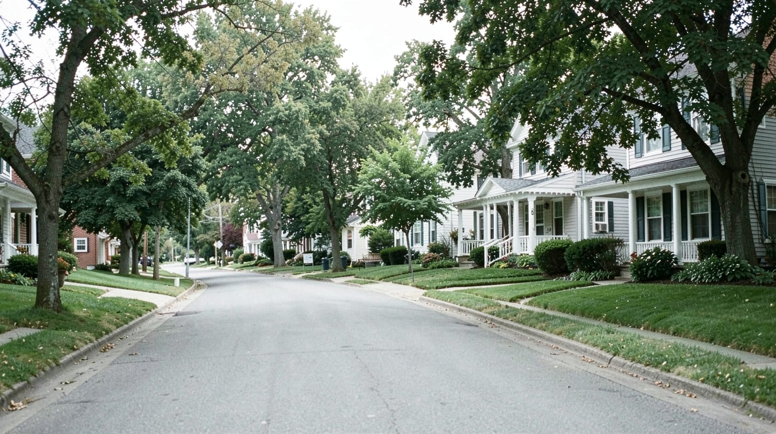 Mold Remediation in Coopersburg, PA